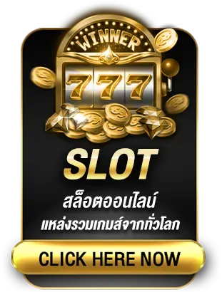 pd555 เว็บตรง